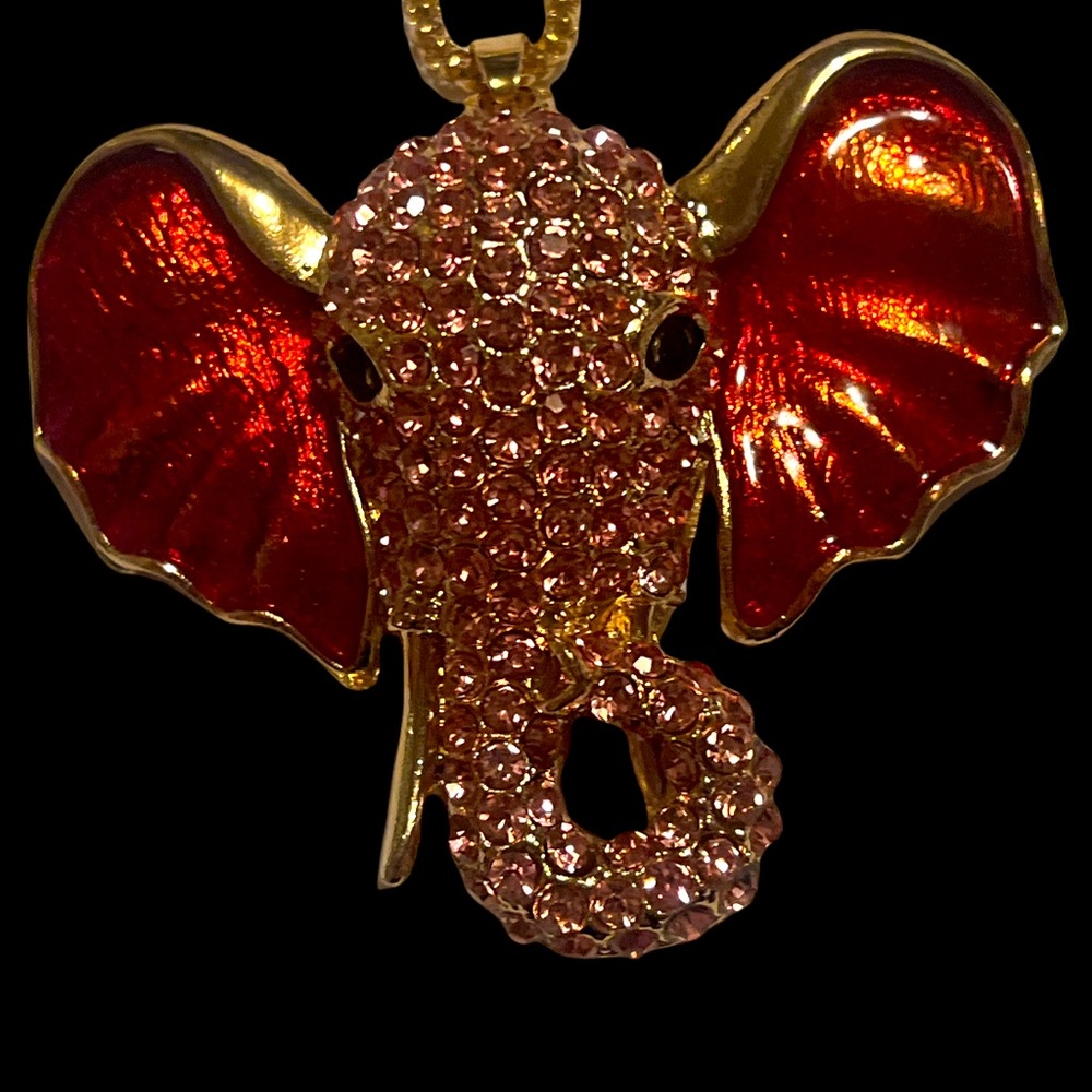 India Elephant 🐘 Symbol